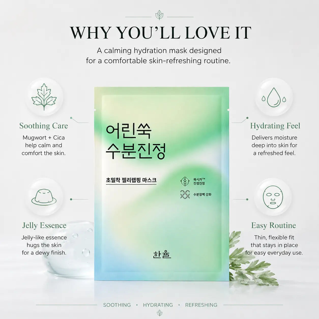 HANYUL Nature in Life Artemisia Sheet Mask 5ea