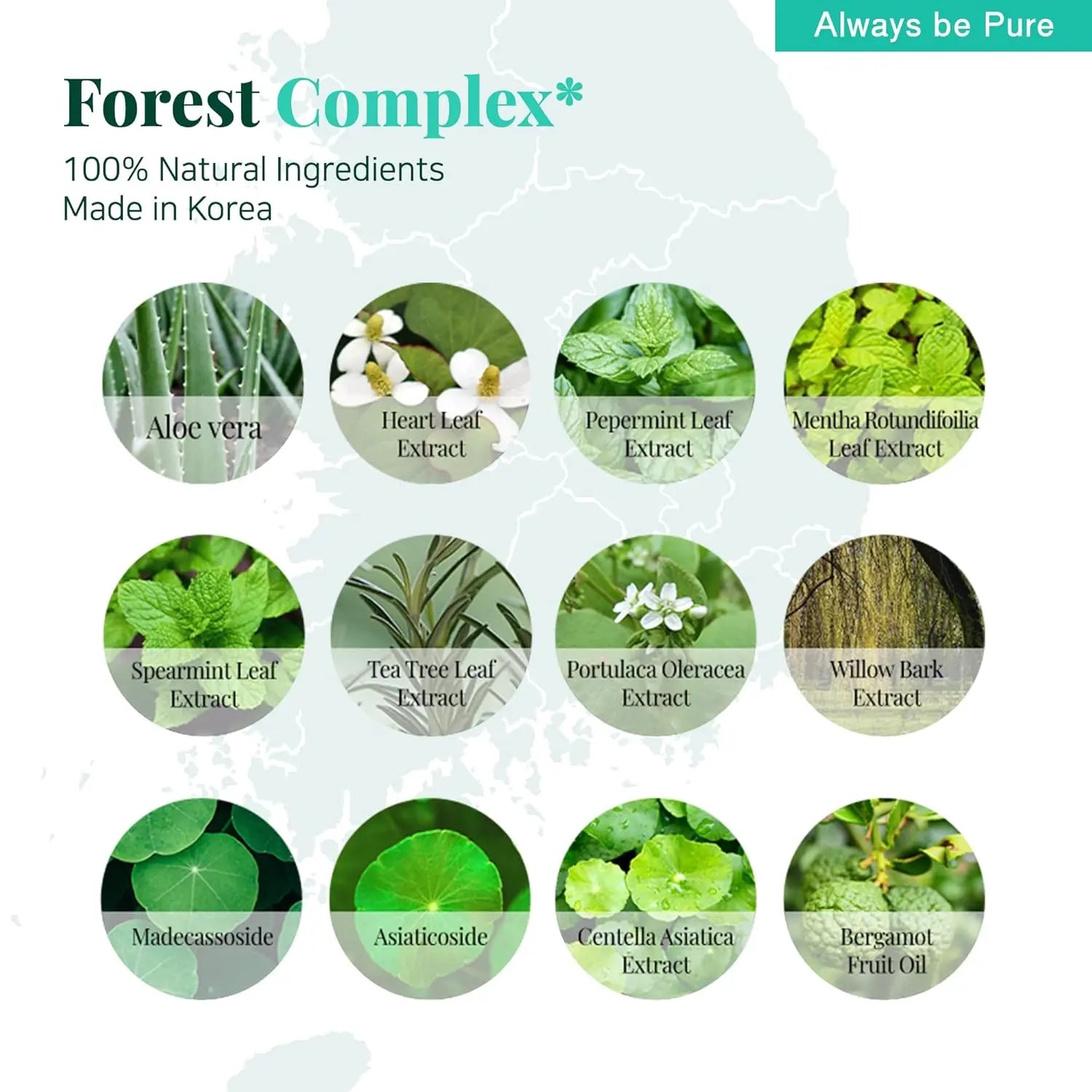 Always Be Pure Forest Therapy Ultra Calming Cream - Enrapturecosmetics