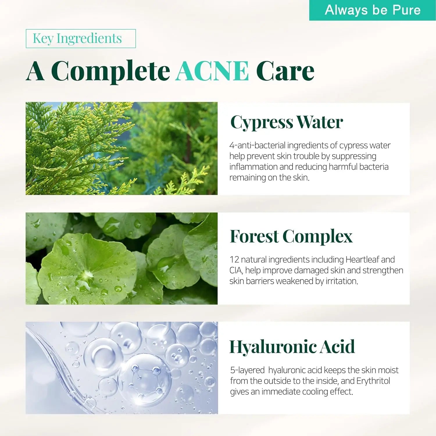 Always Be Pure Forest Therapy Ultra Calming Cream - Enrapturecosmetics