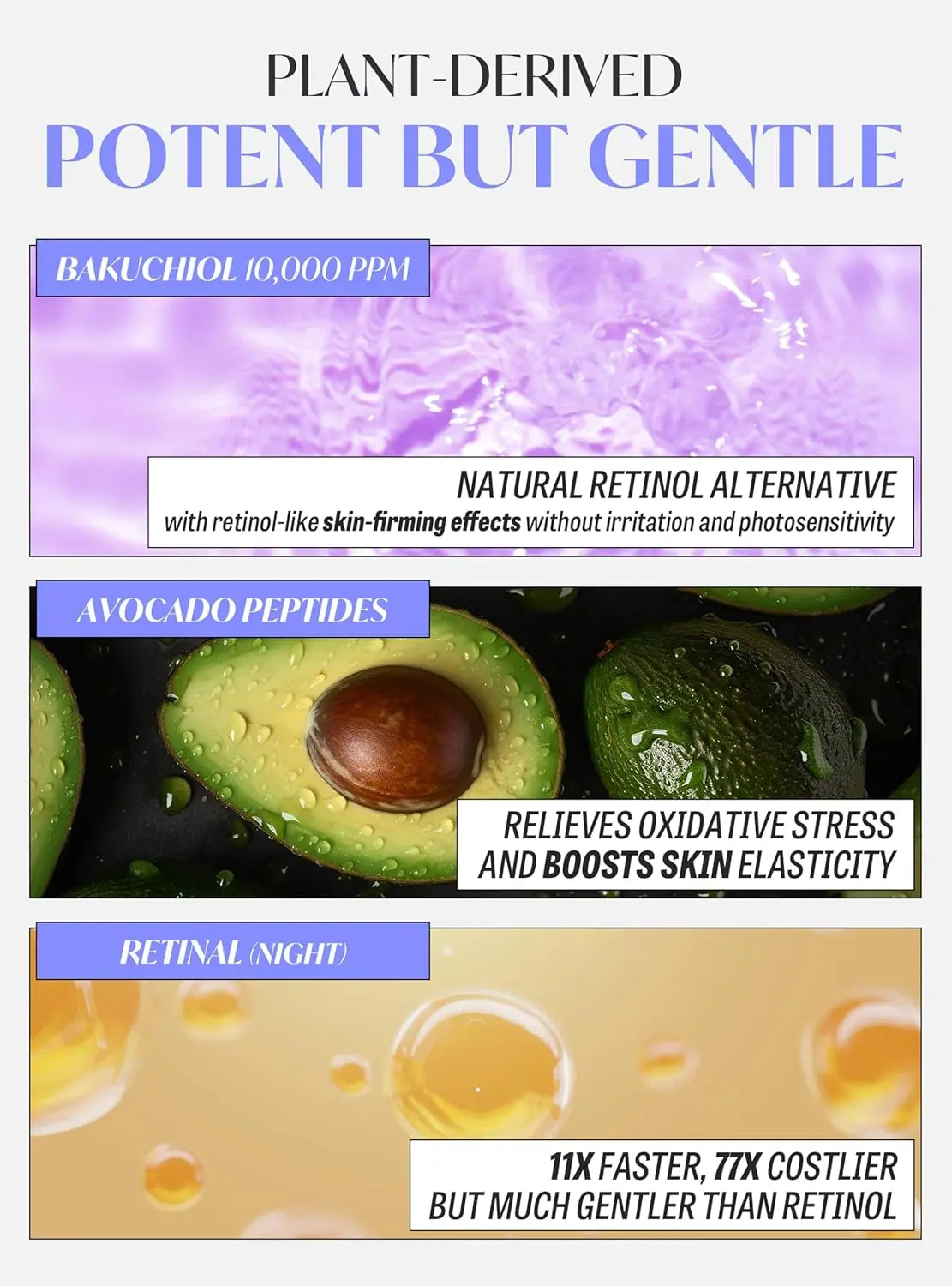 HERBLOOM Retinal Night Care Eye Cream | Bakuchiol Dual Vita with Tinted Day Concealer 0.54 Fl Oz HER BLOOM