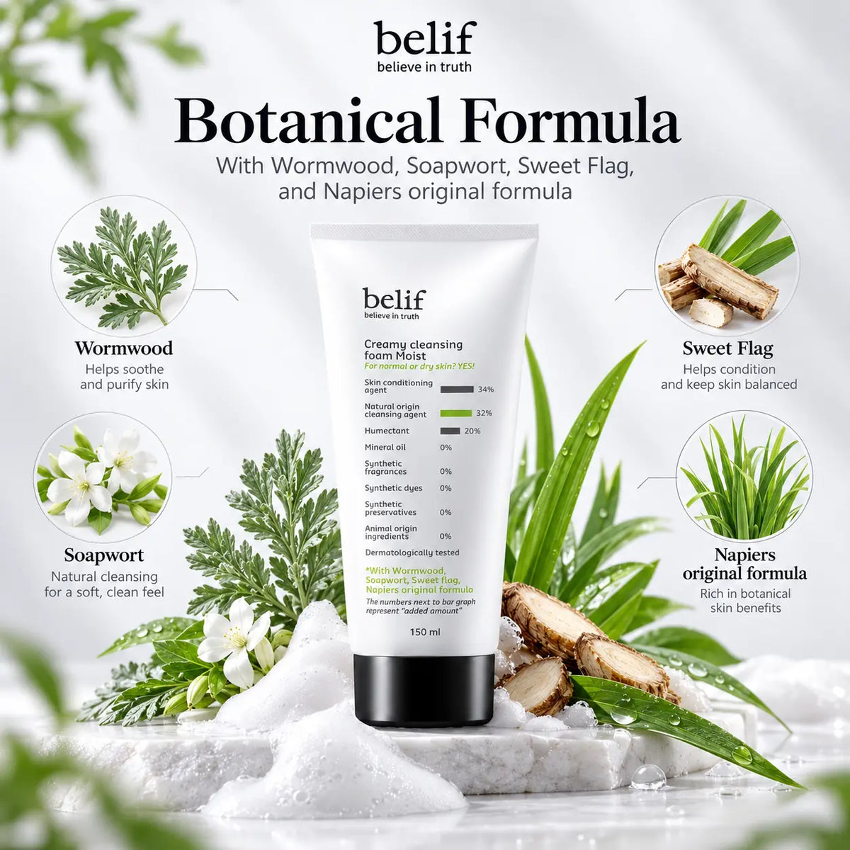 belif Creamy Cleansing Foam Moist 160ml