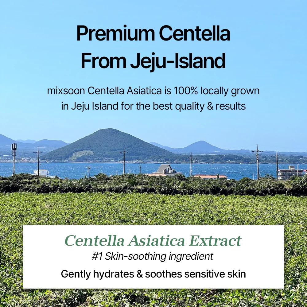 MIXSOON Centella Cleansing Water 300ml