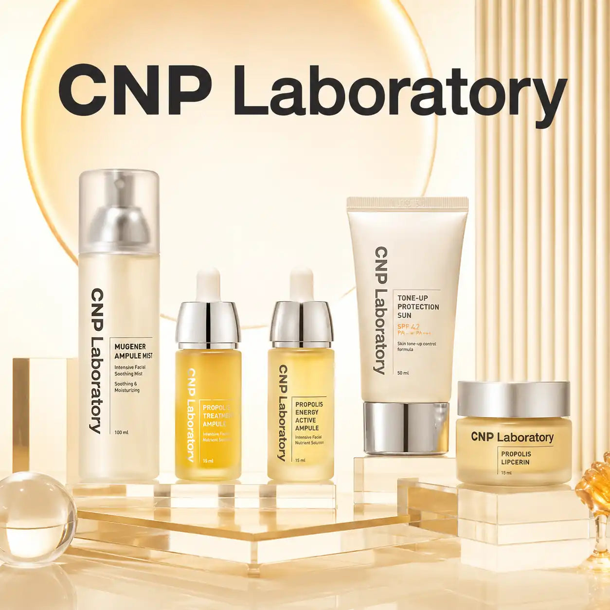 CNP Laboratory