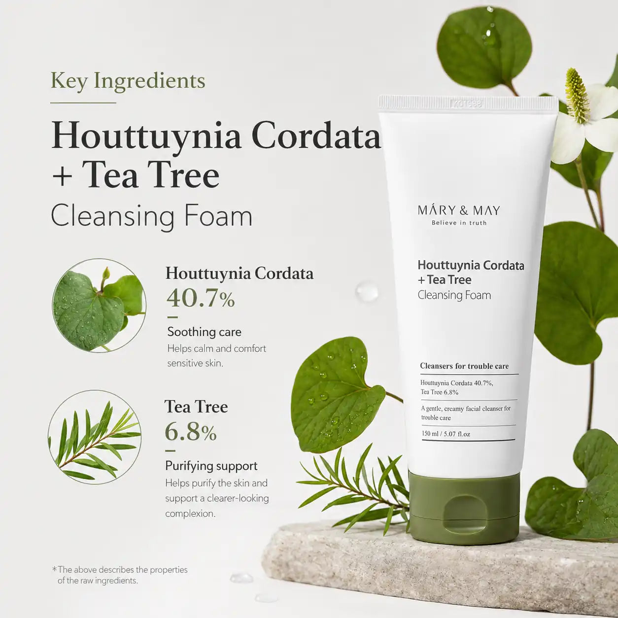 Mary&May Houttuynia Cordata + Tea Tree Cleansing Foam 150ml