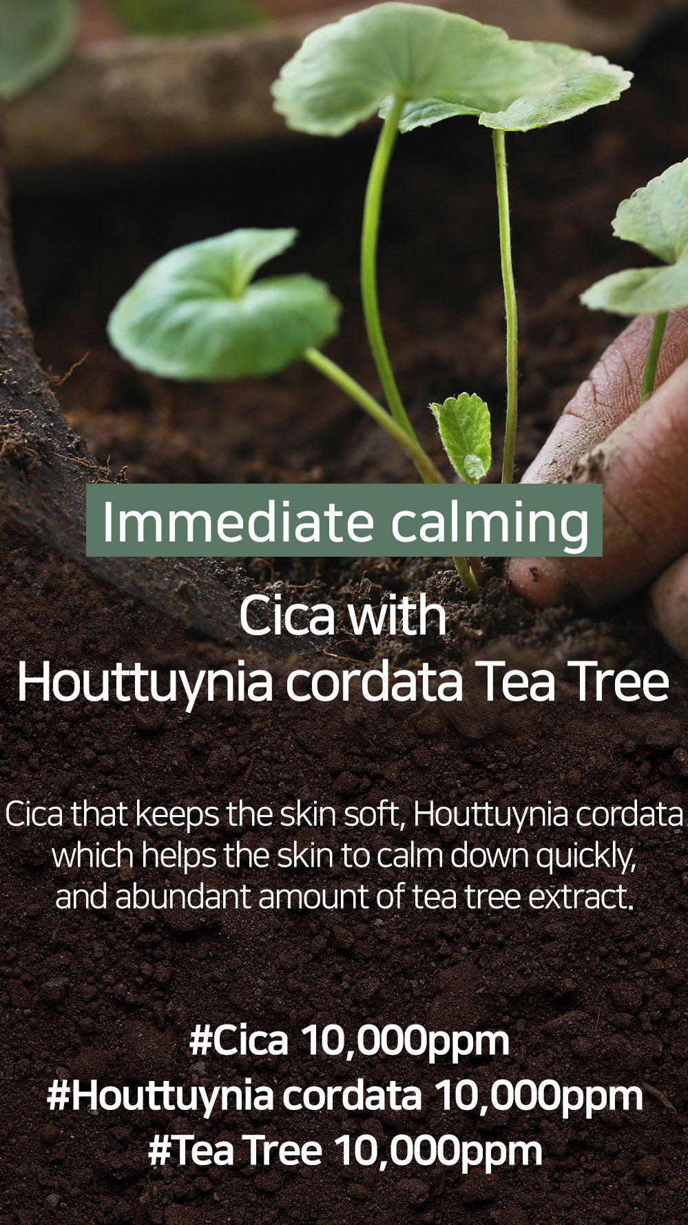 Mary&May CICA Houttuynia Cordata Tea Tree Calming Mask Pack 30 Sheets Korean toner product image