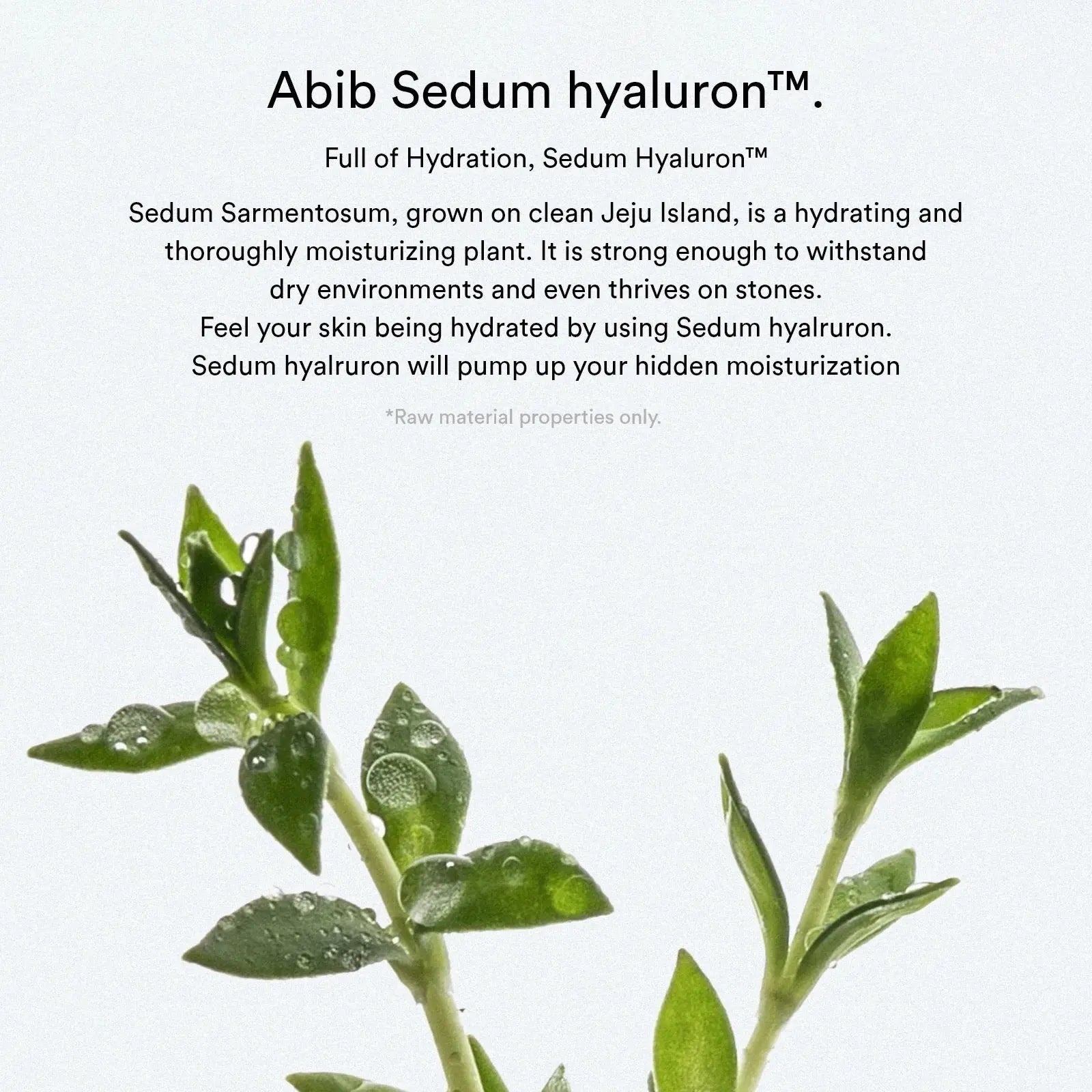 [Abib] Sedum hyaluron pad Hydrating touch - 165ml. 75 pads - Enrapturecosmetics